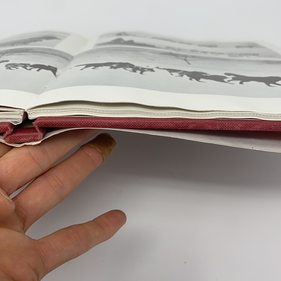 The World of Dogs Book By Wendy Boorer 1970s - Picture 13 of 17